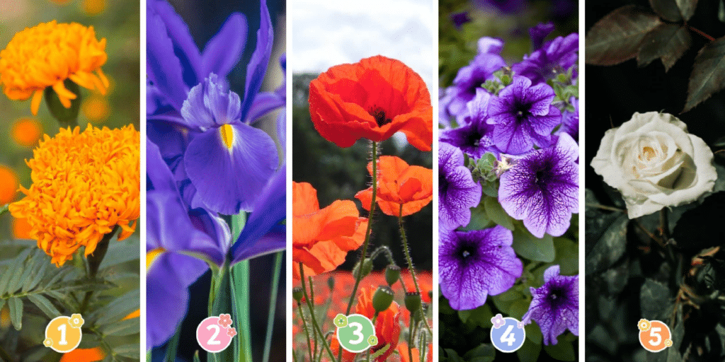 Personlighetstest: Vilken av de 5 utvalda blommorna avslöjar essensen av ditt väsen? Ta reda på det nu!
